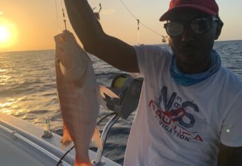 WhatsApp Image 2022-01-26 at 22.16.08