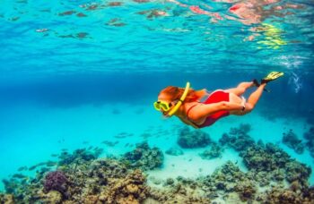 Snorkel-Bahamas-Reef-Coral-1