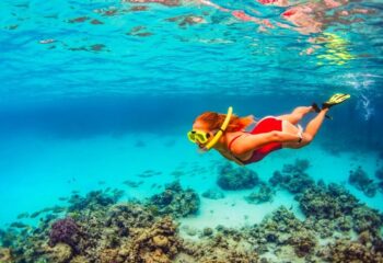 Snorkel-Bahamas-Reef-Coral-1