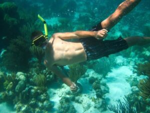 Snorkeling in the Bahamas